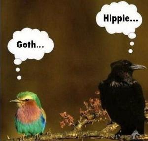 Everyone needs to get along!