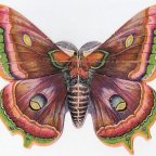 Leave Your Demons At Home