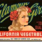 The Vampire Friend Diet: for My Regular Human Friends