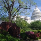 Reading of the Declaration of Independence