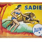 America’s Got Talent and Vampire Nuts (Wild Card Night – Sweet Goth guy is back and so is the lame nuts guy)