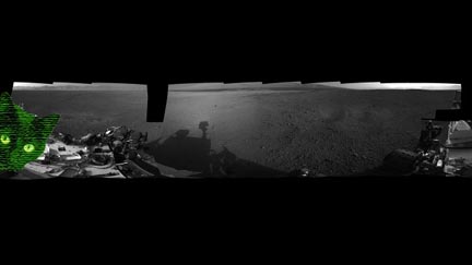 cat on mars