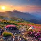 Dealing with Disappointment – Vampire Parenting 101