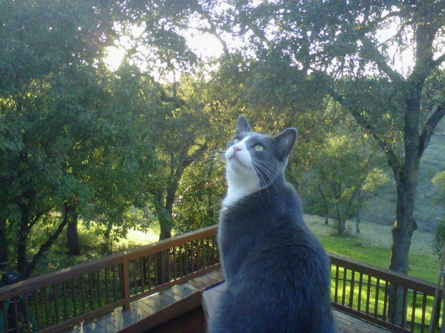 Marla Todd _ Oscar Gray