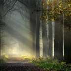 In honor – hug your kids, talk to them, love them.