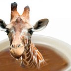 What we’re talking about this morning over coffee.