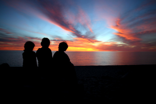 Finding comfort in others who share your experiences. We live, learn and love that way...and survive.