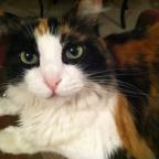 The Vampire is out. I have the laptop!