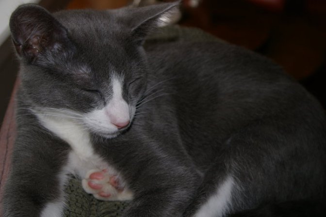 Or so I thought due to his relaxed attitude. Damn him.