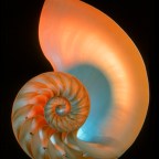 Dear Teacher: End of the year letters to high school teachers