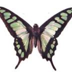 A little help from my friends…