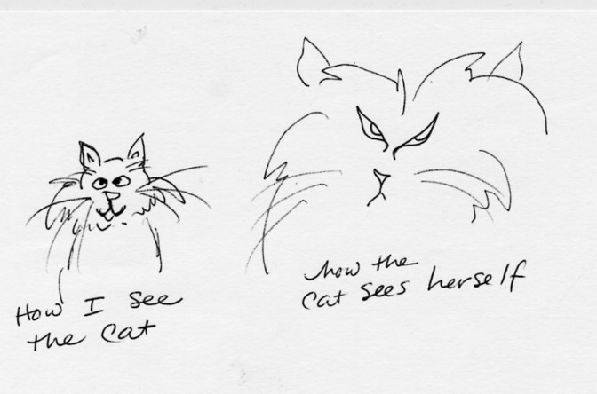 cat doodles