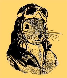 Squirrels Rock the Goggles