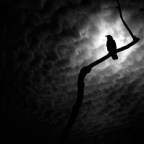 Quiet and Drama Free