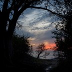 More than a chemical reaction…