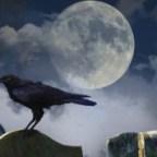 When everyday seems like Halloween…