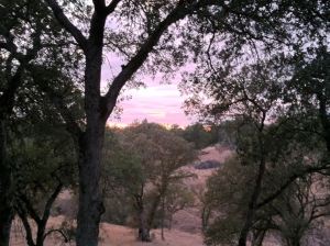 Dry drought landscape without a ghost in sight.