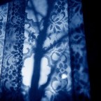 Those we love…caretakers, ghosts and musings