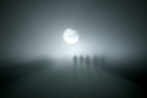 Just before the night falls down and blankets the earth the Vampires go to work.