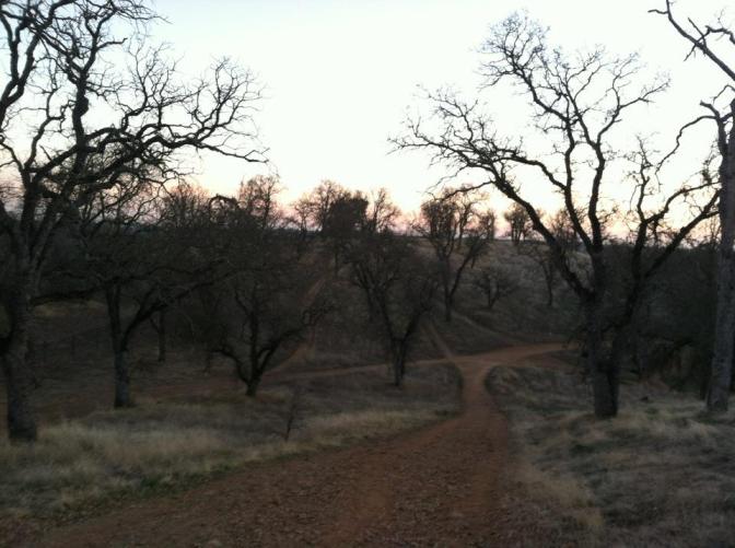 1535710_10202055512528484_208379774_n