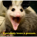 Yes it is complicated (almost as much as a unicorn, a squirrel and a possum going into a bar…)