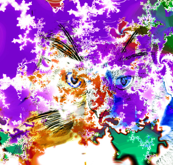 revenge-of-schrodingers-undead-kitty