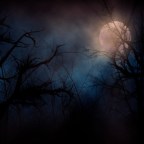 Romance Under an October Moon