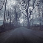 Vlad’s Vampire Diary: Out of Sorts