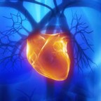 Love: Cold Hands, Warm Hearts