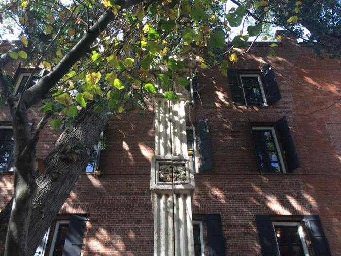 10686959_10203903570488778_1326551096881392697_n