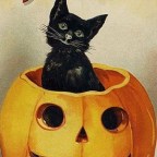 Pumpkins, Vampires, and Home Sweet Home