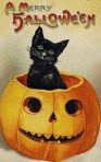 halloween kittie