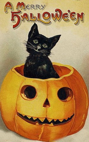 halloween kittie