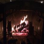 Giving Thanks and Sharing Joy (with Vampires)