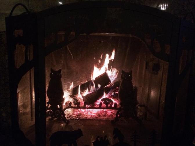 10997_10203971106737142_2149105480222642675_n