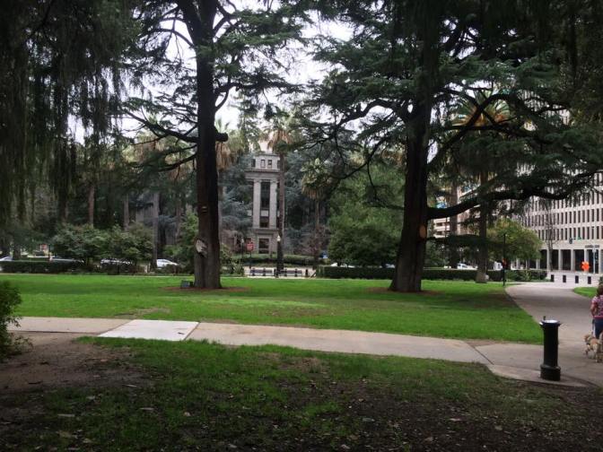 10610742_10204272082981360_3279649734690897430_n