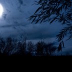 Silent Nights – Don’t forgot those who are easily forgotten