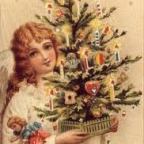 Silver Webs and Silken Bats