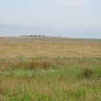 Blogging and Vampireing and Parenting