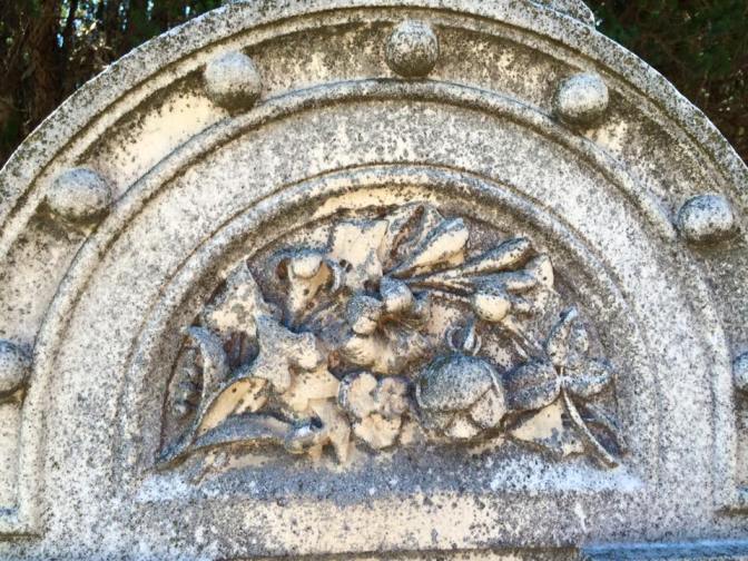 11402776_788677647915951_3202576563265530011_n