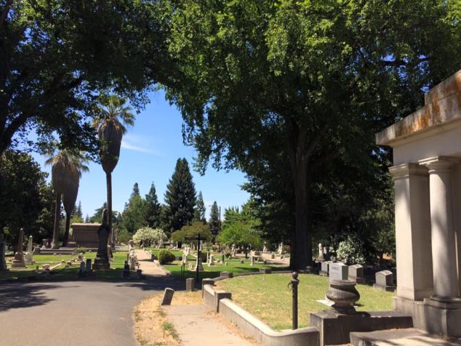 11659532_788677717915944_202526826038833327_n