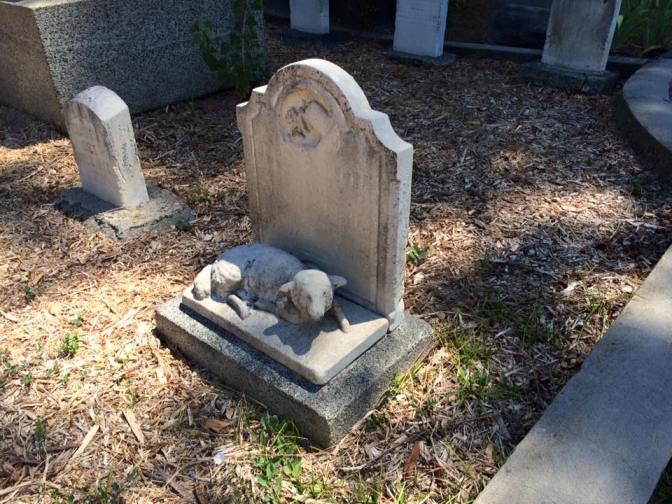 11695844_788677607915955_517776853930036767_n