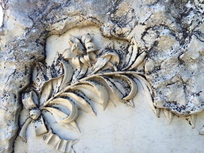 11705101_788677614582621_6963382646916935474_n