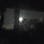 Werewolf Moon (and the dog days of summer)