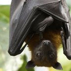 Things you need to do with your teen