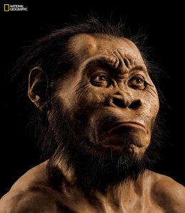 Researchers have named it Homo naledi, because "naledi" means "star" in a local South African language.