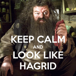 I've got the moves like Hagrid