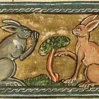 Vampire Diary: Zipped