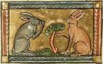 medieval-rabbits