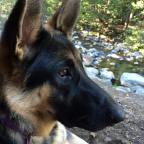 It is that time of year…December Holiday Party RIGHT HERE